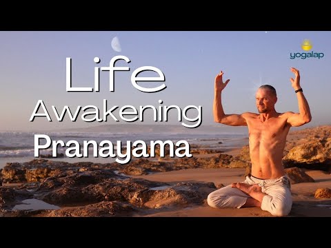 The Life Awakening