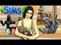 Ho aperto un Cat Cafè (finita tragicamente) - The Sims 4 Hobby e Attività