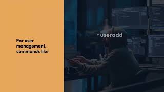 Celebrity Advanced linux commands Net Worth