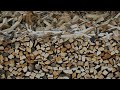 Models Firewood Processing Factory | Firewood Production Line | Firewood Processor