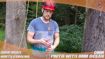 Rope Logic Rig and Ring Small - TreeStuff Customer David Ricks