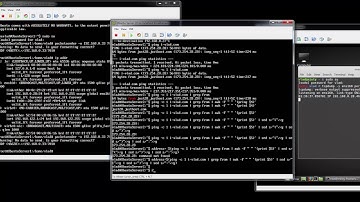 [SW: HOWTO] - Traffic forward to dynamic IP address using iptables