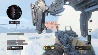 BLACK OPS 4 Cheeky Straight up axe