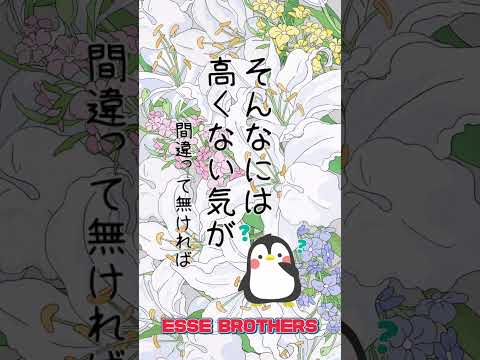 (12)とあるエッセ乗りから国へ --ESSE BROTHERS--