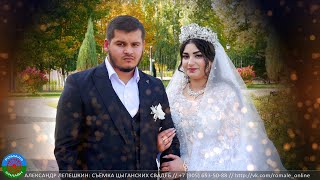 свадьба Коля и Русалина (Борисоглебск) 29 сентября 2023
