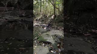 Fell Into 2 Holes But Happy To Be Here