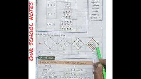 5th Std Maths| Term 1 |Unit 3 Patterns| Page no.:55| Square Numbers