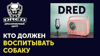 DRED на Радио | Кто должен воспитывать собаку | Нужно ли дрессировать DRED на Радио | Кто должен воспитывать собаку | Нужно ли дрессировать