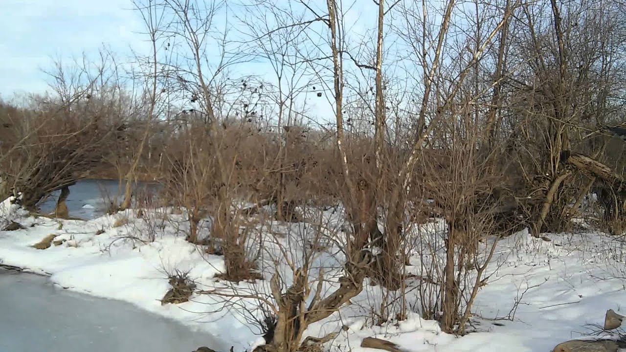 shenandoah-river-morgan-ford-bridge-area-youtube