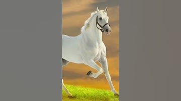 ✨Things only Swifties will understand✨ | #shorts #swifties #taylorswift