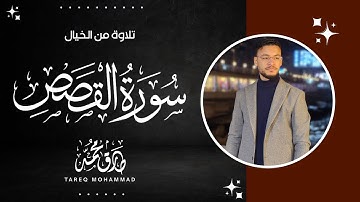 سورة القصص (كاملة) || تلاوة جديدة رائعة || القارئ طارق محمد