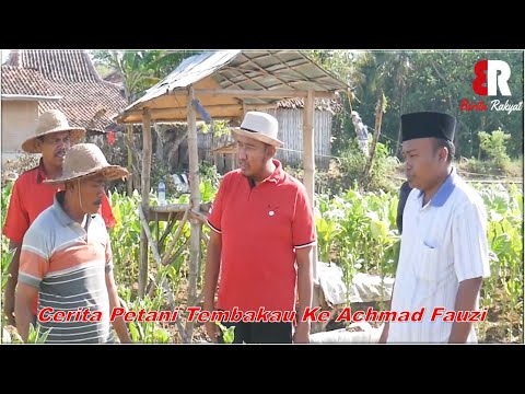 Cerita Petani Tembakau ke Achmad Fauzi