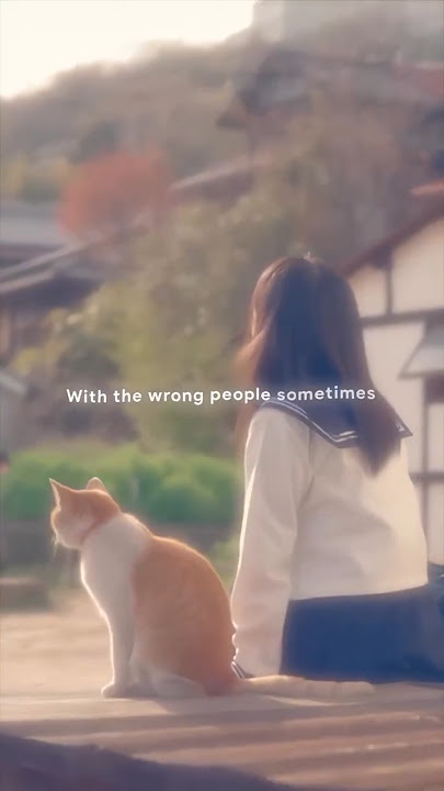 Moral of the Story 🍂 #song #ytshorts #shortsfeed #shortsviral