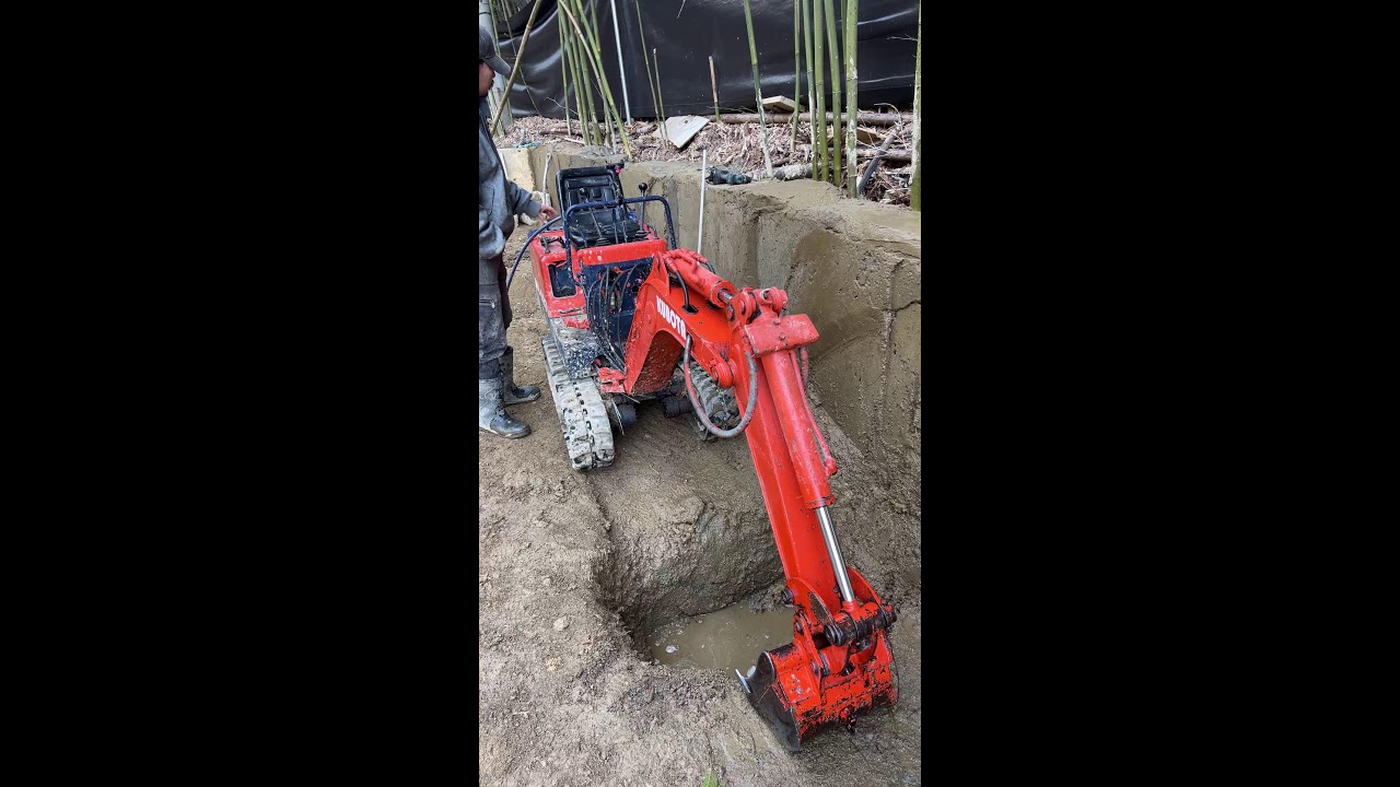 Live: Battle of the Backyard: Excavator vs Nature 
