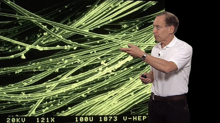 Robert S. Langer (MIT) Part 3: Biomaterials for Dr...
