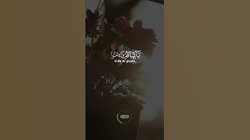 إن الله وملائكته يصلون على النبي   #سورة_الأحزاب #حالات_واتساب دينية🤲🏻🌙♥️