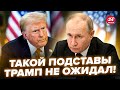 ⚡️Путин ОШАРАШИЛ по ПЕРЕГОВОРАХ! Кремль дал ЭКСТРЕННЫЙ приказ.Турцию НАКРЫЛ БУНТ@Popularpolitics