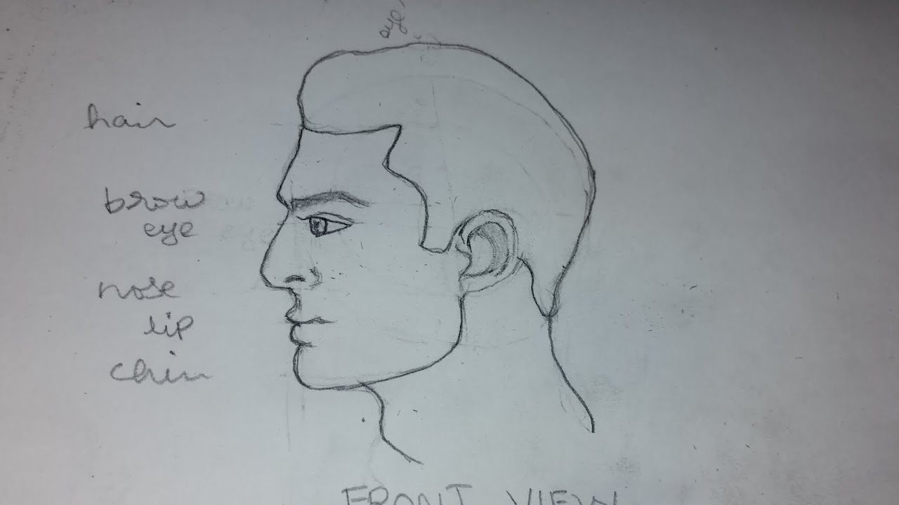 how to draw side view of a face | loomis method #youtubevifeo#sideview ...
