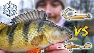 Dropshot vs Jig Head *Winter Edition* ❄  WHAT WORKS BEST FOR PERCH (Challenge) | Team Galant