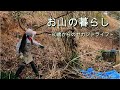 【お山の暮らし 030 】61歳妻のアジサイの剪定と草刈りに向けての山の環境整備