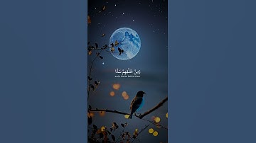 #ماهرالمعيقلي 🌹#تلاوة_خاشعة#رح_سمعك #اكسبلور #explore #goneviral #foryou #viral #fyp#300k #foryou