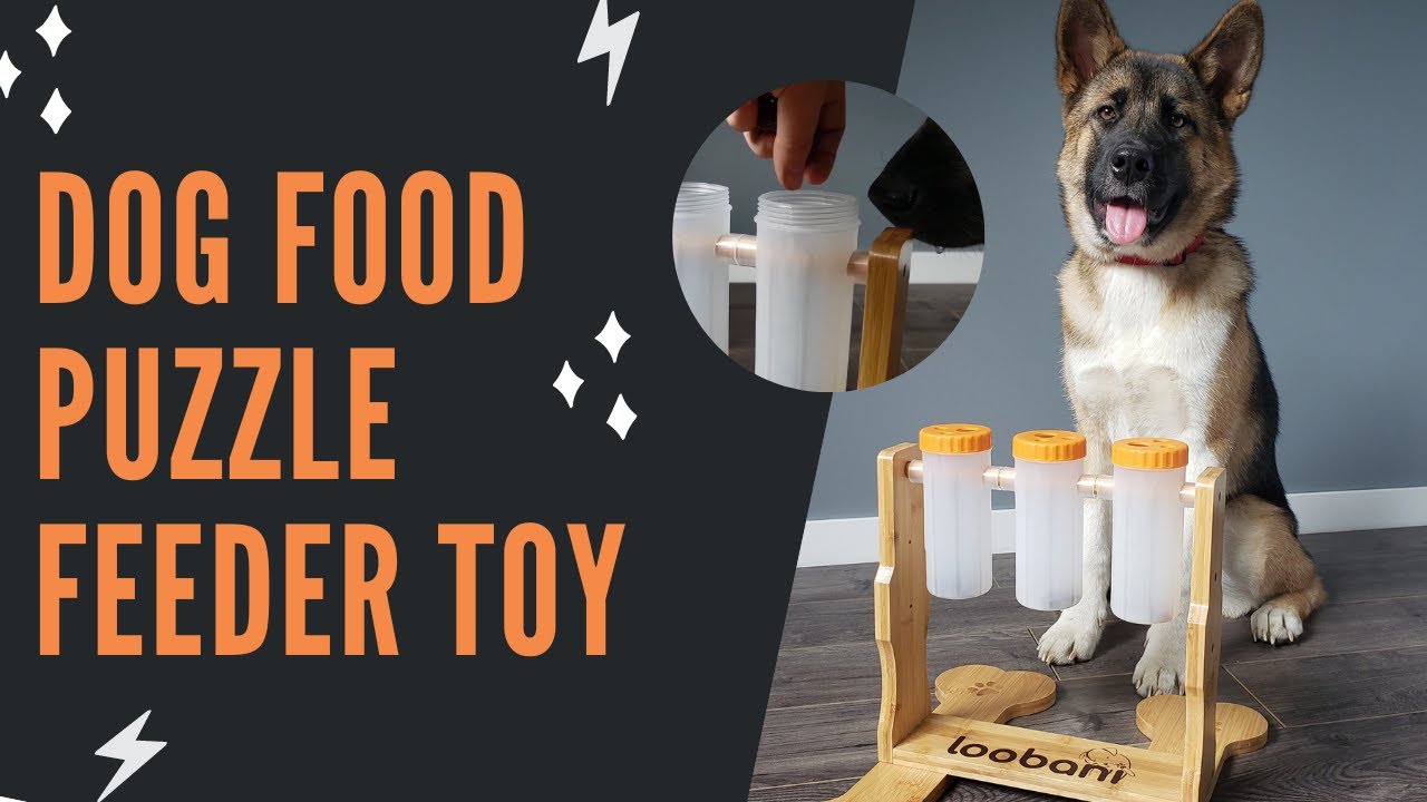 Loobani Dog Food Puzzle Feeder Toy