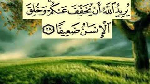 أحكام التلاوة والتجويد في الآية رقم ٢٨ من سورة النساء