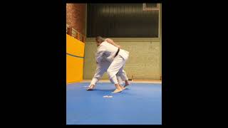Judo/Beautiful Throws/Эффективные Броски/#Shorts