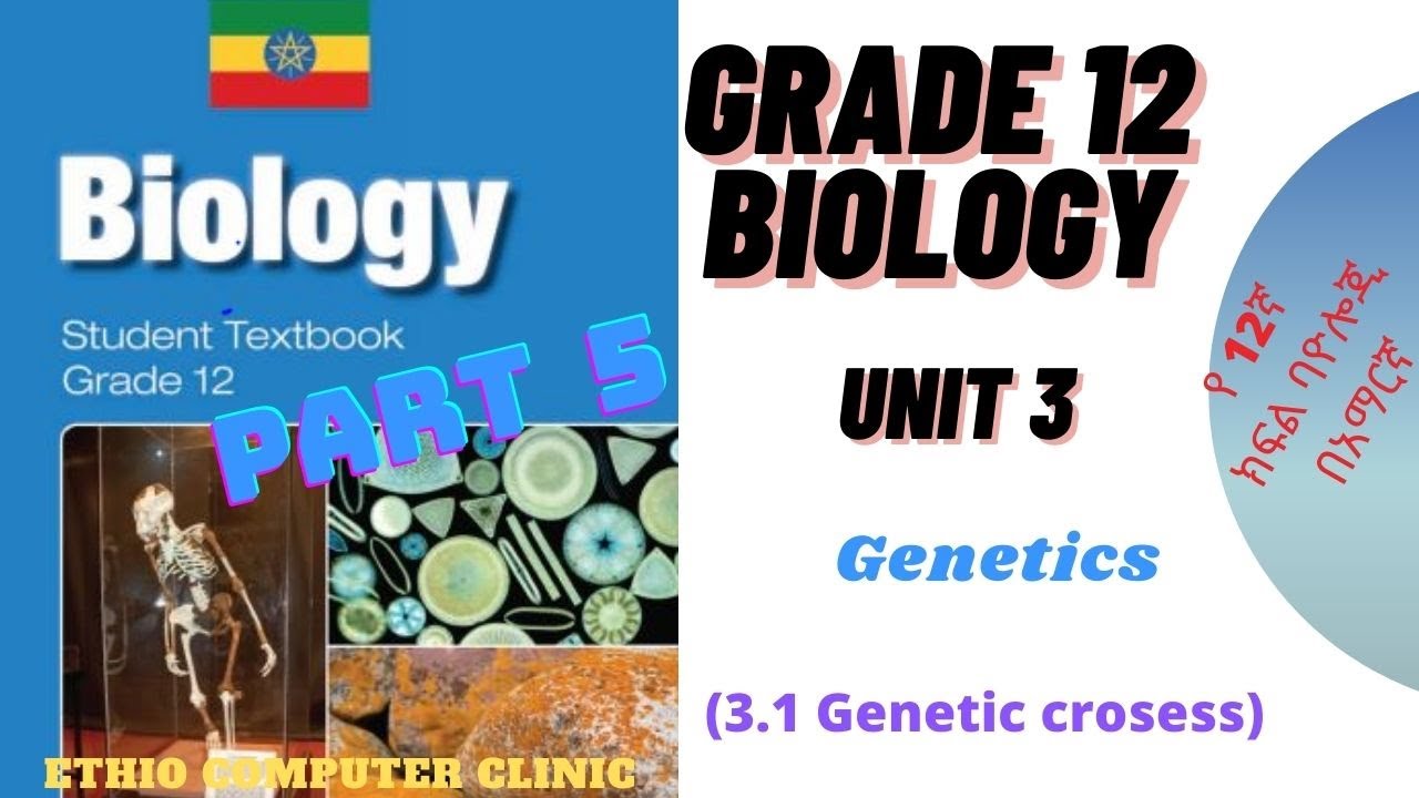 Ethiopia Grade 12 Biology - Unit 3 - Part 5 Genetics (የ12ኛ ክፍል ባዮሎጂ ...