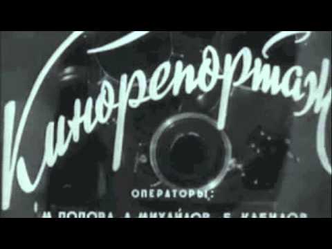 Последние новости в сафари парке приморье
