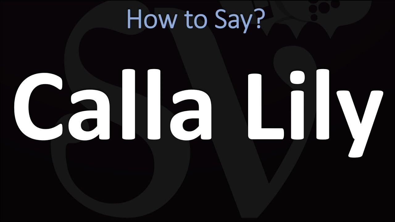 How To Pronounce Calla Lily CORRECTLY YouTube how-to-pronounce-calla-lily-correctly-youtube