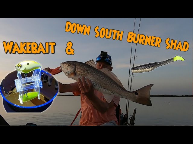 Over Slot Reds On Wakebait And Down South Lures Kayak Trip With