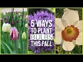 5 ways to plant bulbs | The Impatient Gardener