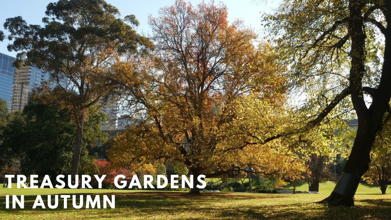 Treasury Gardens, Melbourne - Autumn time-lapse