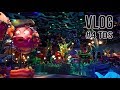 いつも支えてくれている妻へ　東京ディズニーシー【VLOG】