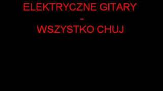Video thumbnail of "Elektryczne Gitary - Wszystko chuj"