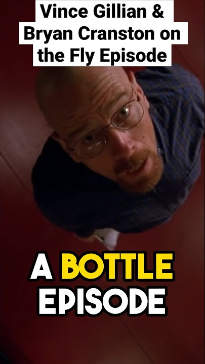 Why Vince Gilligan Made The Fly Episode for Breaking Bad