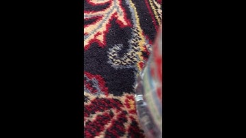 القارئ وليد الشمسان الليلة السابعة عشر من مسجد قباء عام 1438 هـــ