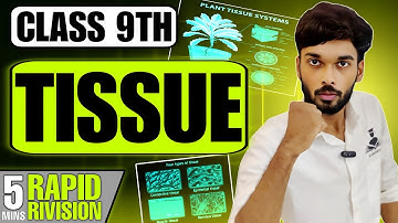 Tissues Class 9 Science | Rapid Revision in 5 Minutes 🌿 | CBSE NCERT 2025 | Rohit Sharma