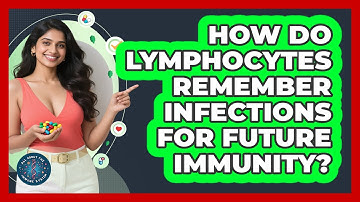 How Do Lymphocytes Remember Infections For Future Immunity? - All About the Immune System