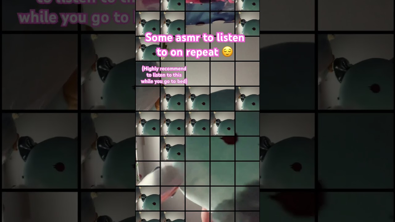 Some asmr with Squishmallow 