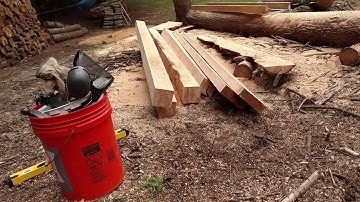 Chainsaw Mill 02: My First Posts
