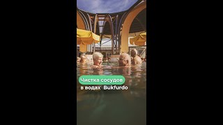 🙌 Очищение сосудов в термальных водах Bukfurdo 🇭🇺 #здоровьевен #чисткасосудов #лечениеводой