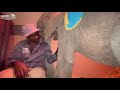 The Amazing Bond Between an Elephant Orphan and Her Human Carers