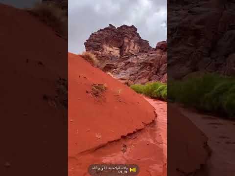 عز الله أن الصبر تحمد سجاياه