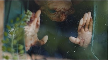 Monkey Monk - What A Relief (Official Video)