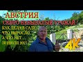 АВСТРИЯ. ЧТО ВЫРОСЛО В САДУ И ОГОРОДЕ...А ЧТО НЕТ...