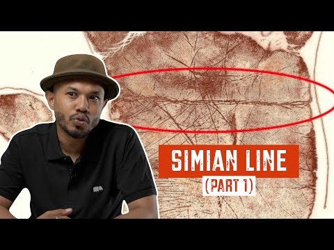 Simian Line (Part