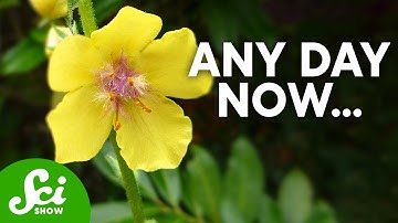 The Longest Experiments Ever Conducted