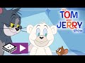 The Tom and Jerry Show | Baby Polar Bear | Boomerang UK 🇬🇧